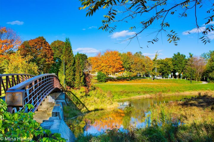 listowel park in the fall